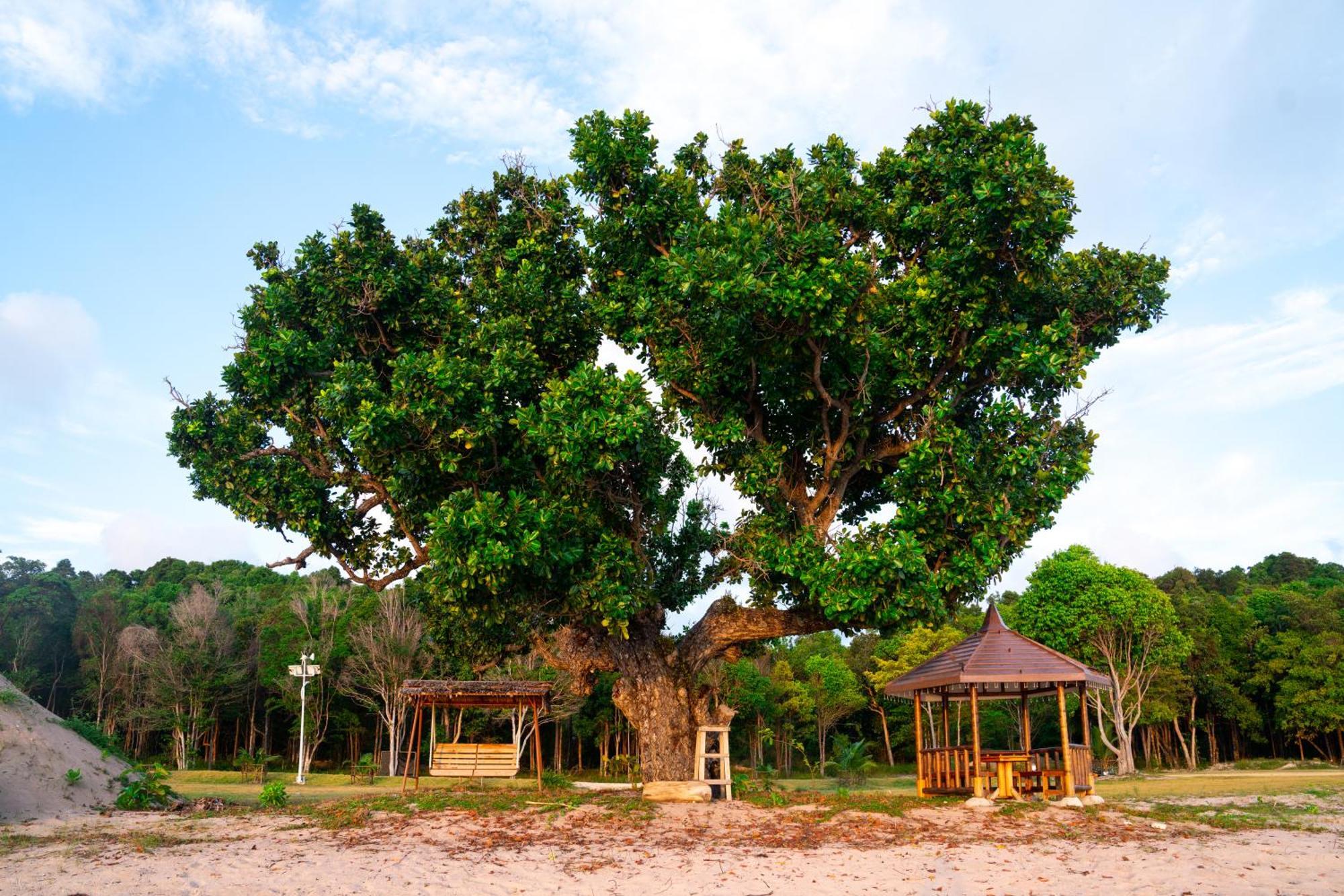Kepri Coral Resort Galang Island Dış mekan fotoğraf